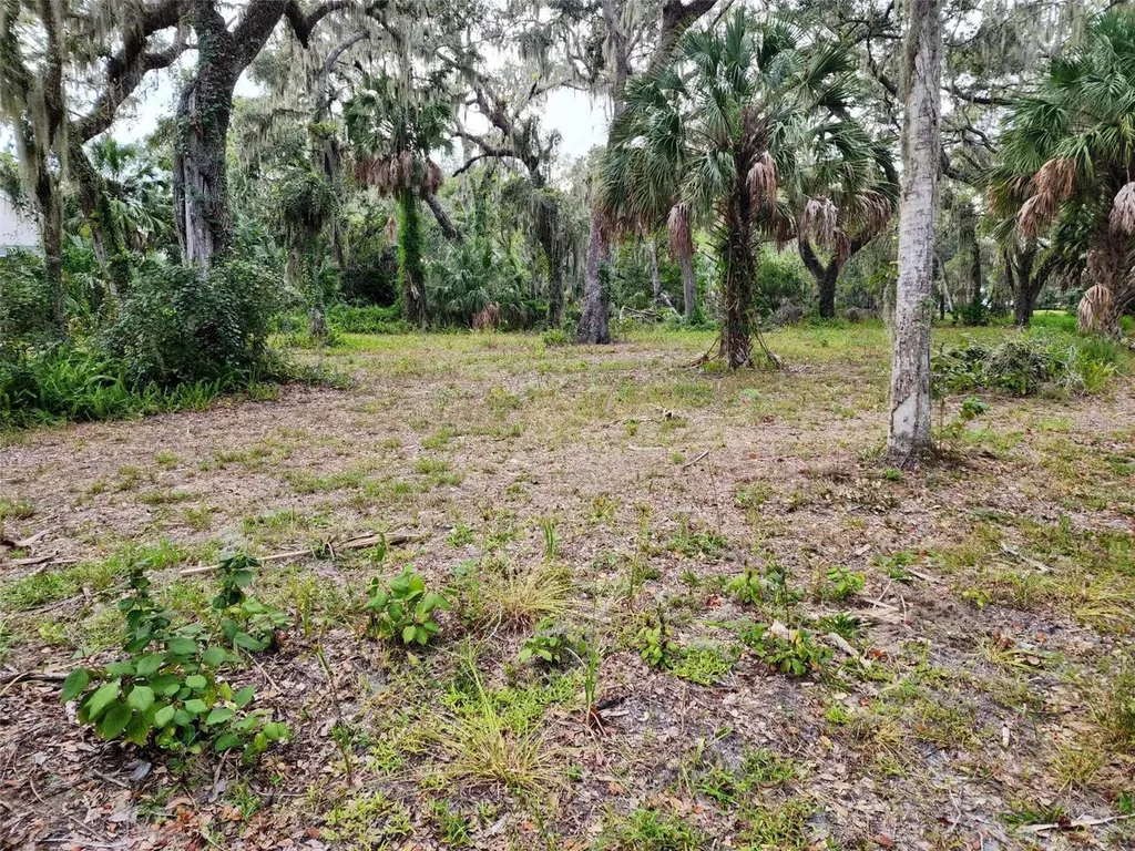 33RD Street E Palmetto FL 34221