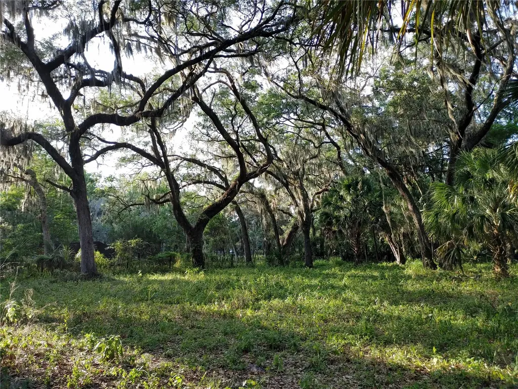 33RD Street E Palmetto FL 34221