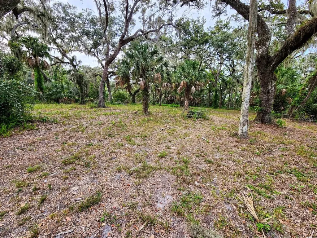 33RD Street E Palmetto FL 34221