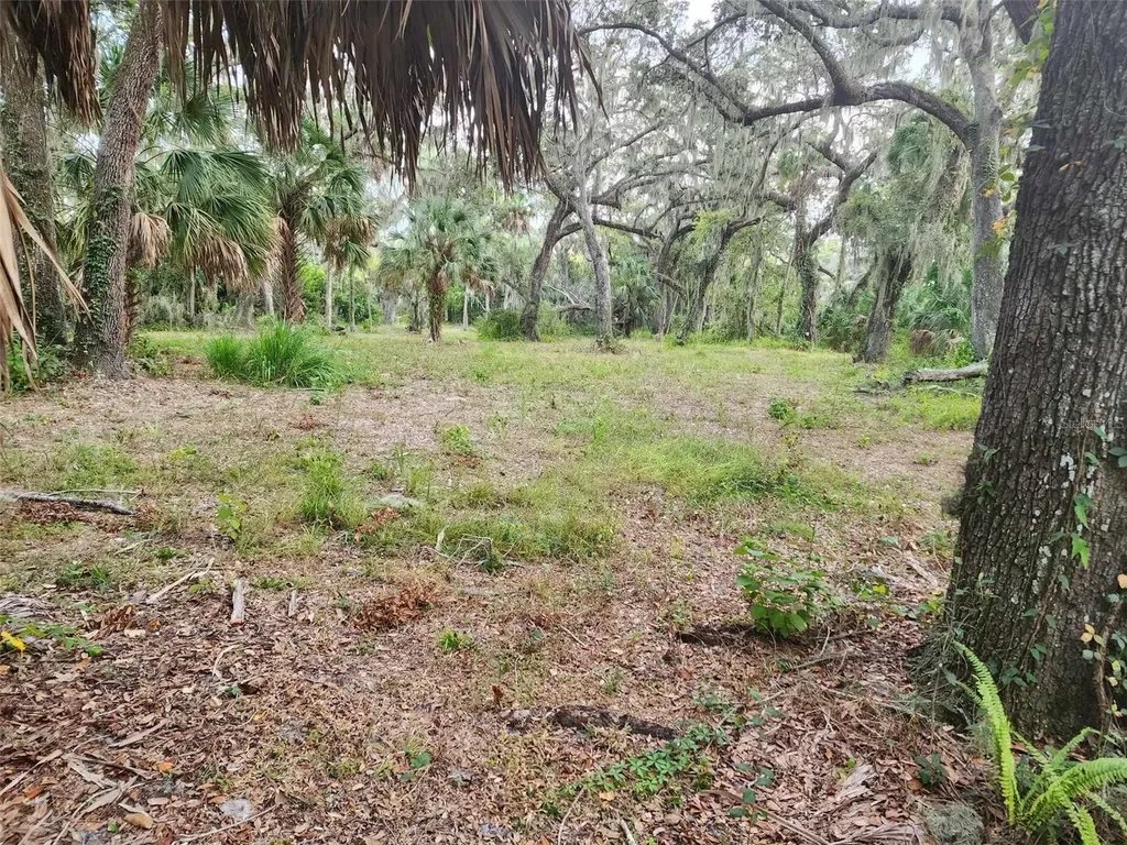 33RD Street E Palmetto FL 34221