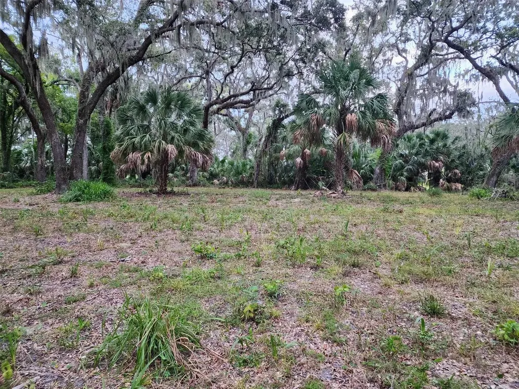 33RD Street E Palmetto FL 34221
