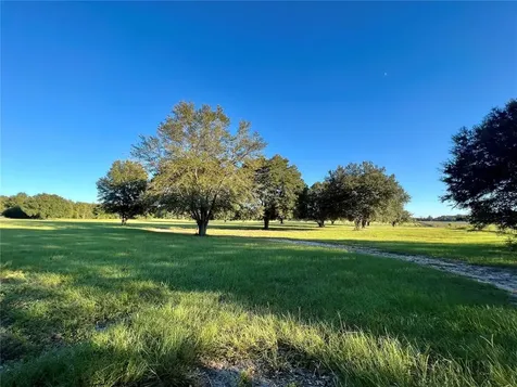 27608 NW 46th Avenue Newberry FL 32669