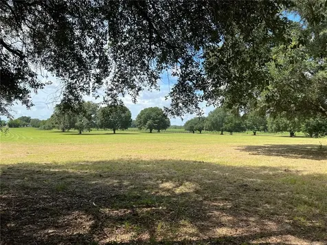 27608 NW 46th Avenue Newberry FL 32669