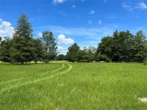27608 NW 46th Avenue Newberry FL 32669