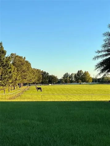 27608 NW 46th Avenue Newberry FL 32669