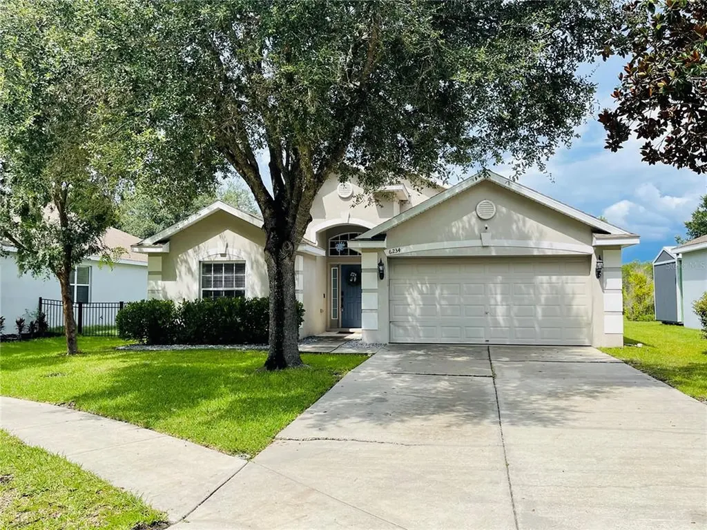 6234 Dainty Bess Court Land O Lakes FL 34639