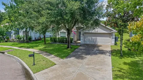 6234 Dainty Bess Court Land O Lakes FL 34639