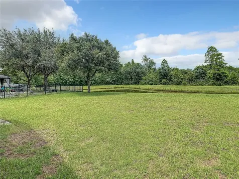 6234 Dainty Bess Court Land O Lakes FL 34639