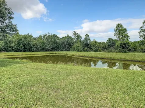 6234 Dainty Bess Court Land O Lakes FL 34639