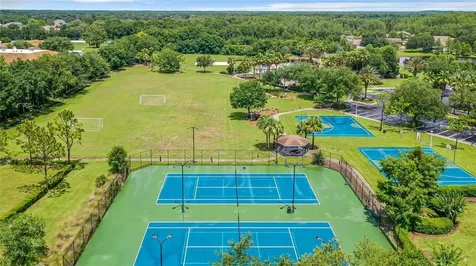 6234 Dainty Bess Court Land O Lakes FL 34639