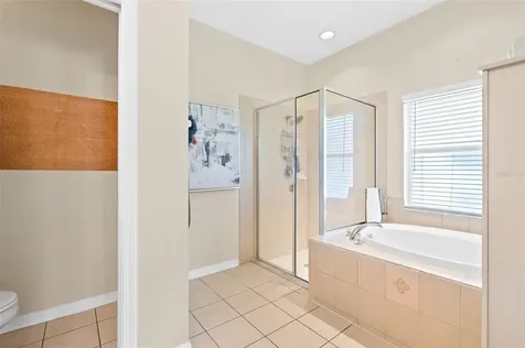 9909 Jasmine Brook Circle Land O Lakes FL 34638