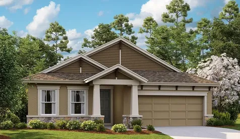 6237 Golden Nettle Drive Apollo Beach FL 33572