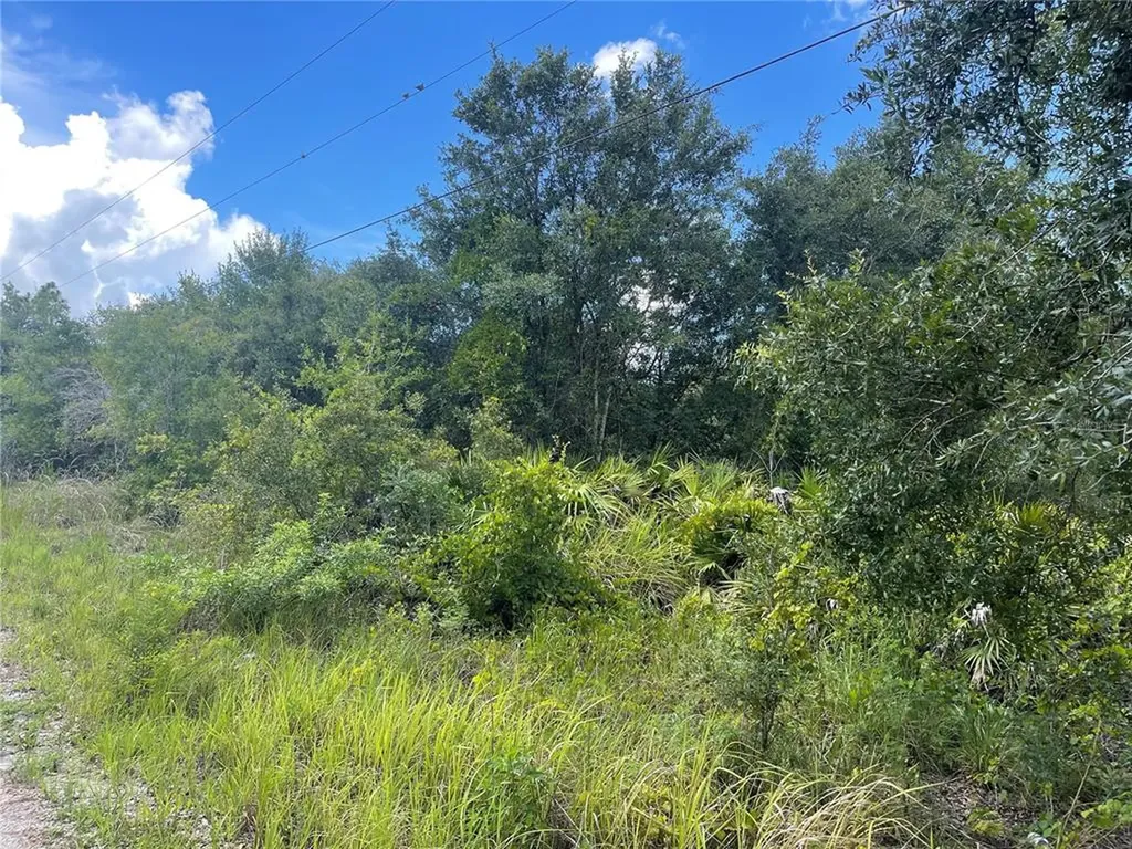 4543 SE Wheat Avenue Arcadia FL 34266