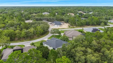 7 Nemesia Court W Homosassa FL 34446