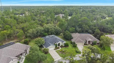 7 Nemesia Court W Homosassa FL 34446