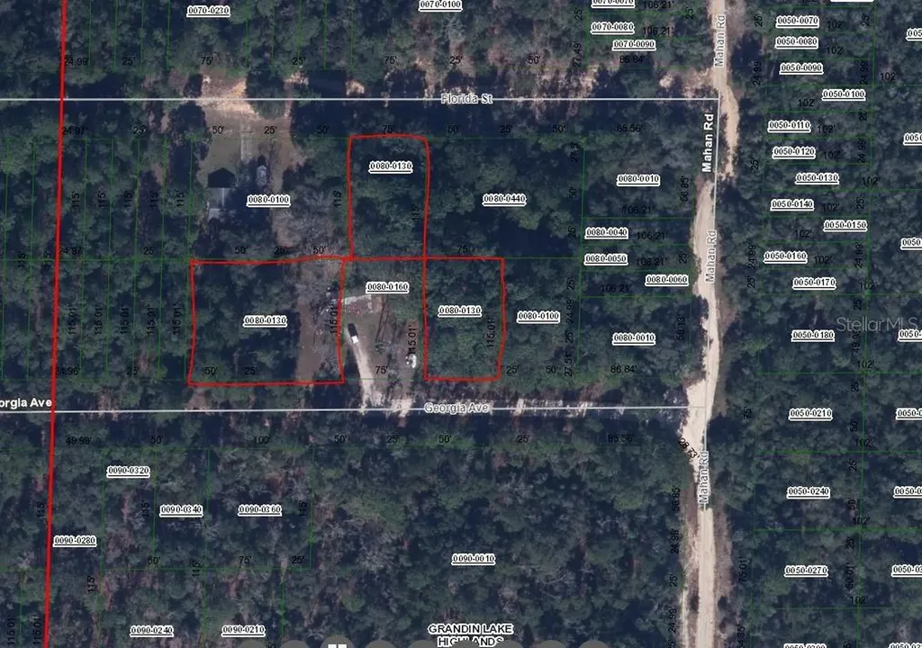 00 Georgia Avenue Interlachen FL 32148