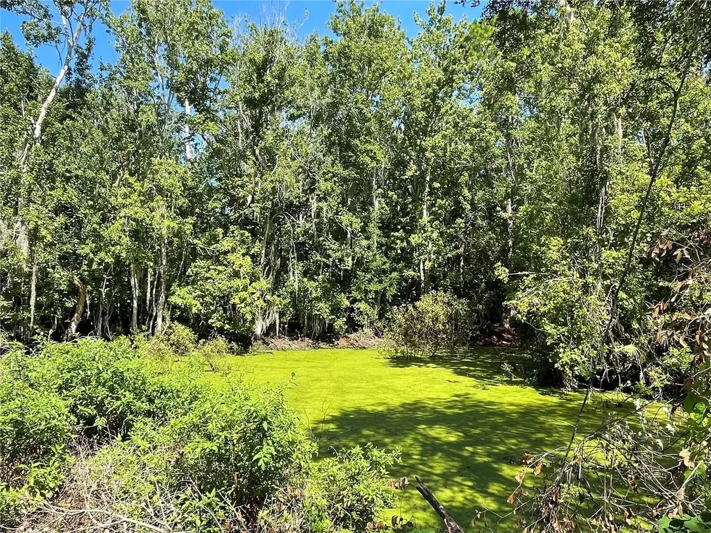 16415 Bearle Road Orlando FL 32828