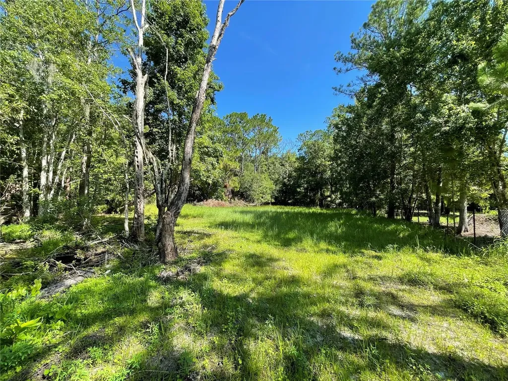 16415 Bearle Road Orlando FL 32828