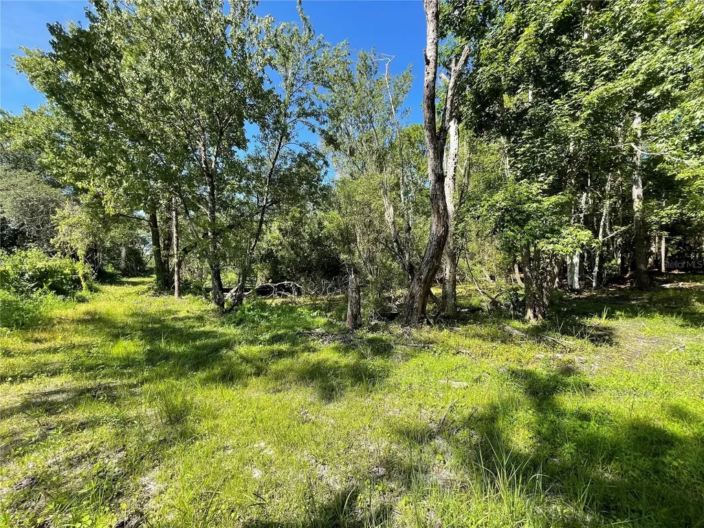 16415 Bearle Road Orlando FL 32828