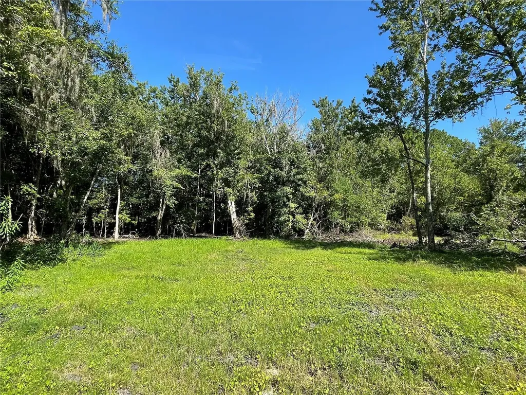 16415 Bearle Road Orlando FL 32828