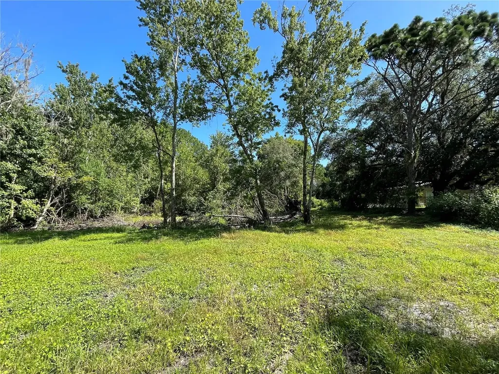 16415 Bearle Road Orlando FL 32828