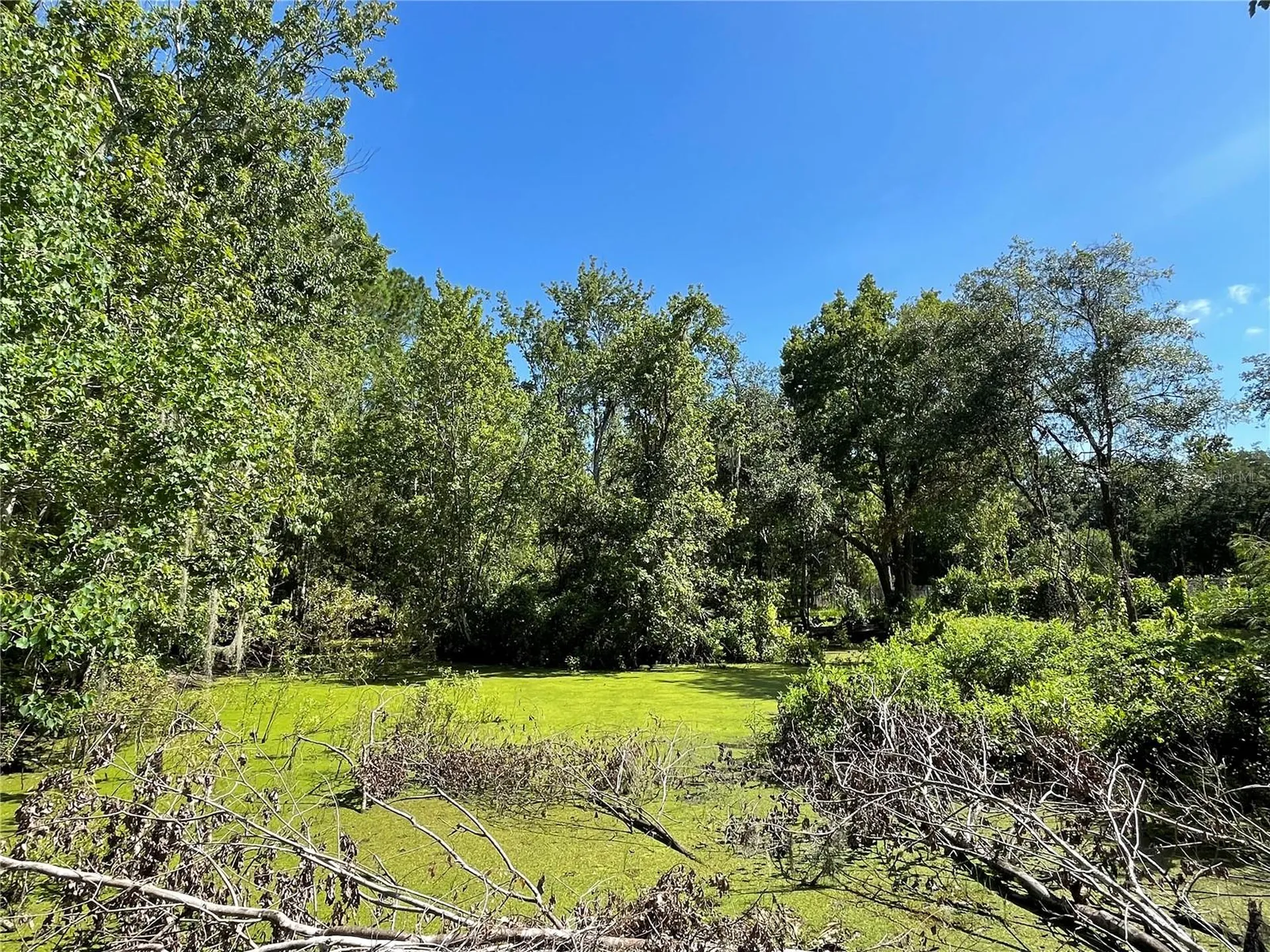 16415 Bearle Road Orlando FL 32828