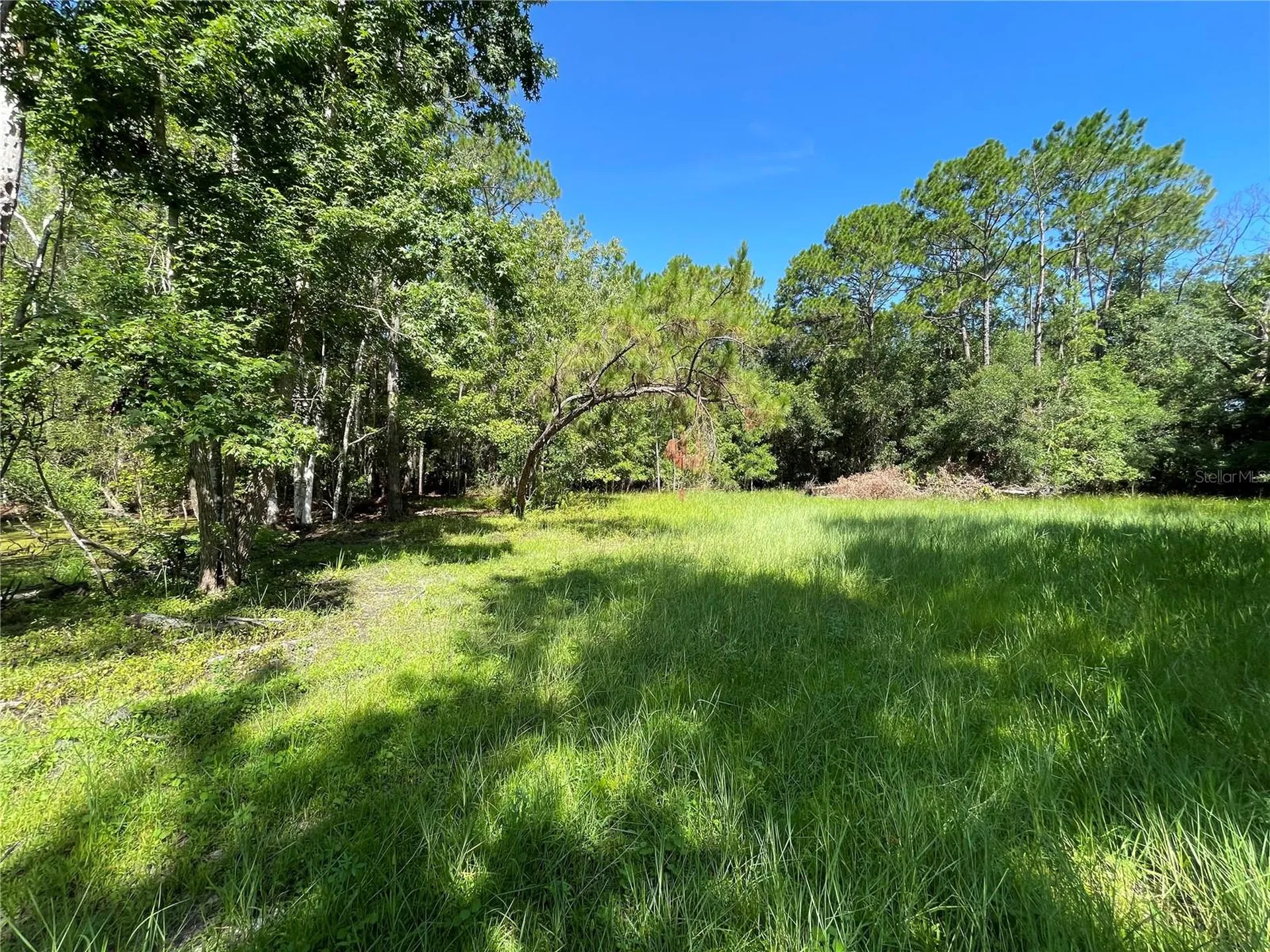 16415 Bearle Road Orlando FL 32828