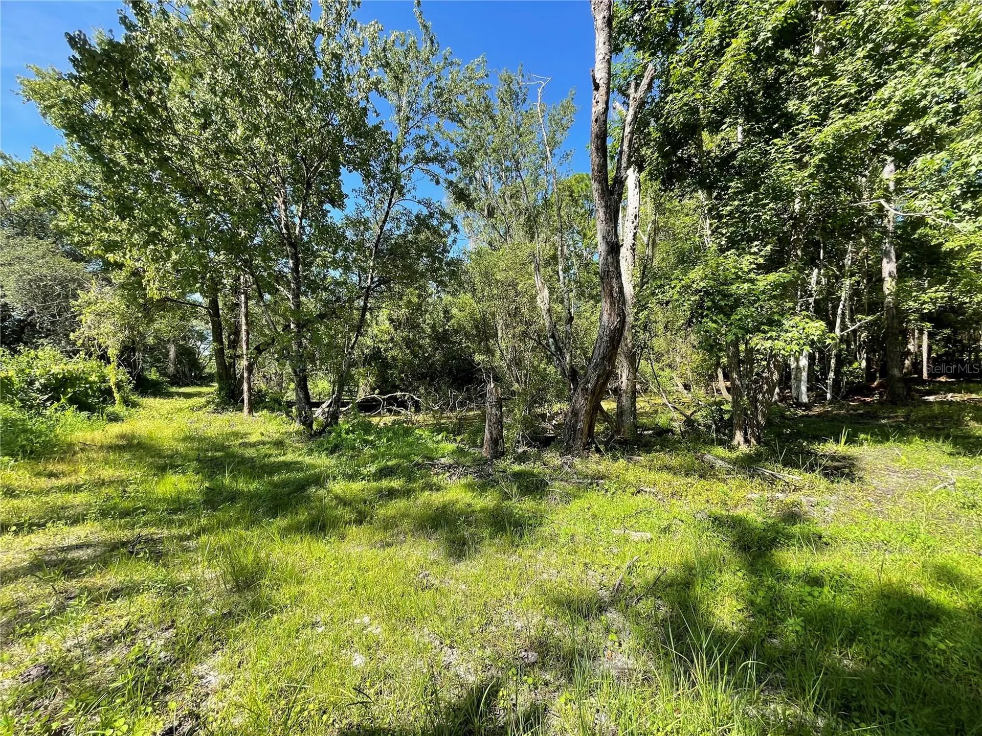 16415 Bearle Road Orlando FL 32828