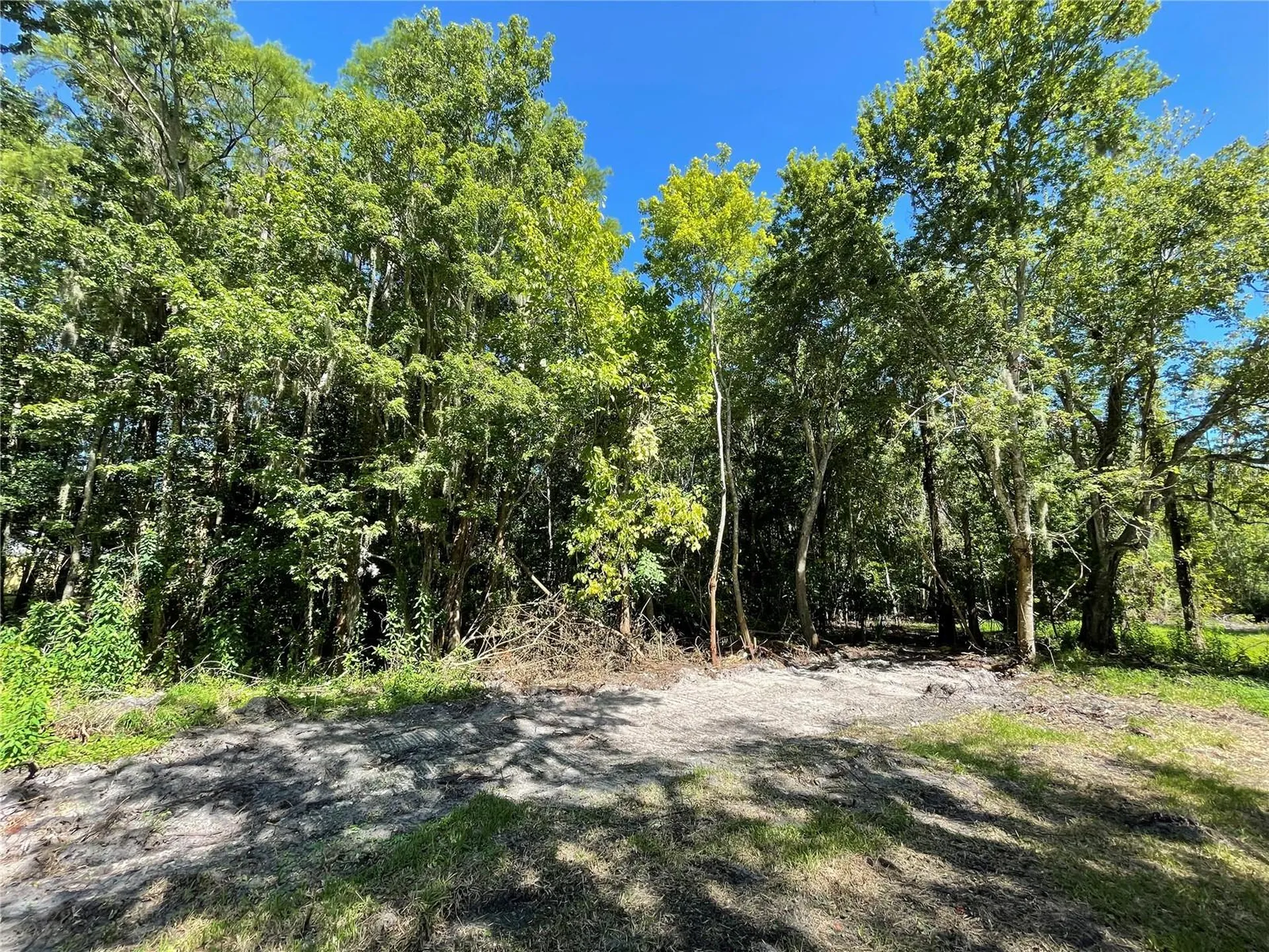 16415 Bearle Road Orlando FL 32828