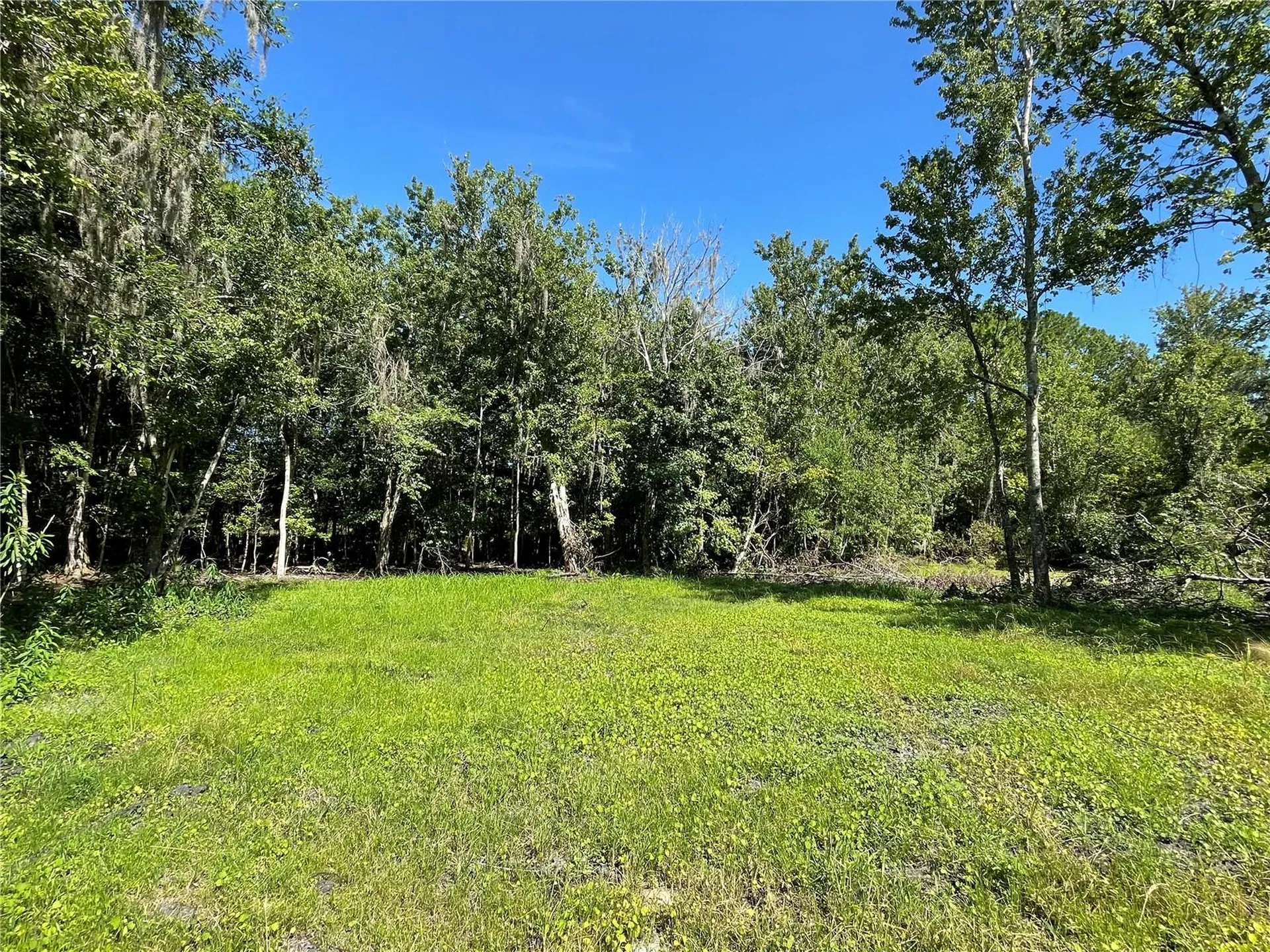 16415 Bearle Road Orlando FL 32828