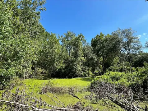 16415 Bearle Road Orlando FL 32828