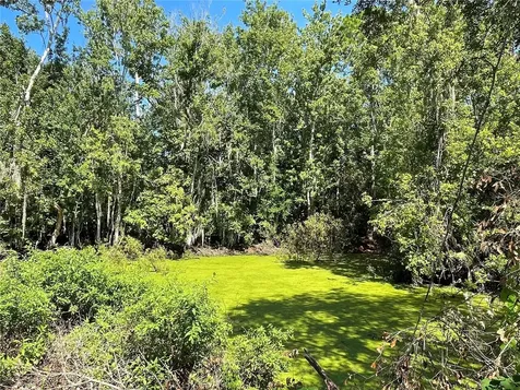 16415 Bearle Road Orlando FL 32828