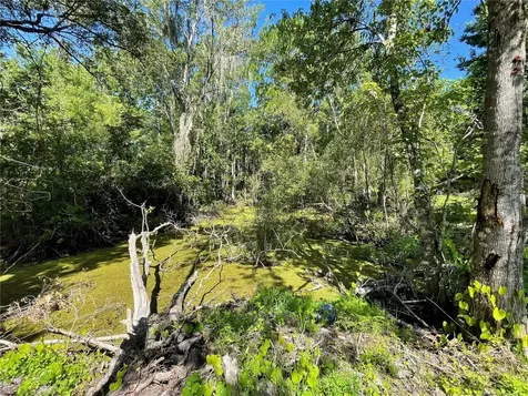 16415 Bearle Road Orlando FL 32828