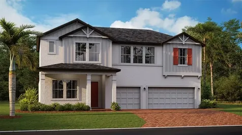 21251 Snowy Orchid Terrace Land O Lakes FL 34637