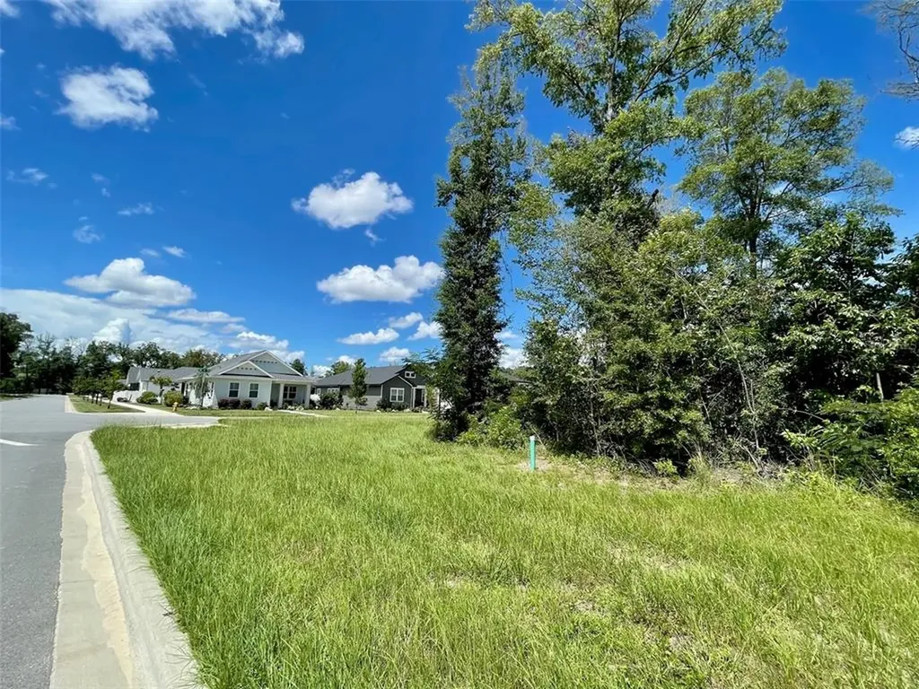 979 SW 132nd Street Newberry FL 32669