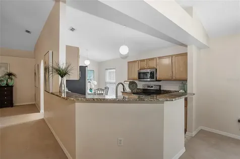 19254 Wood Sage Drive Tampa FL 33647