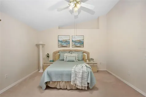 19254 Wood Sage Drive Tampa FL 33647