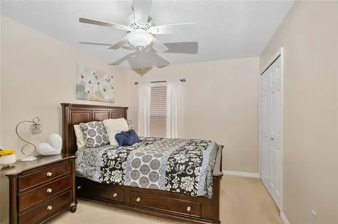 19254 Wood Sage Drive Tampa FL 33647