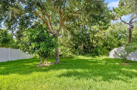 19254 Wood Sage Drive Tampa FL 33647