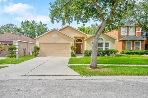 19254 Wood Sage Drive Tampa FL 33647