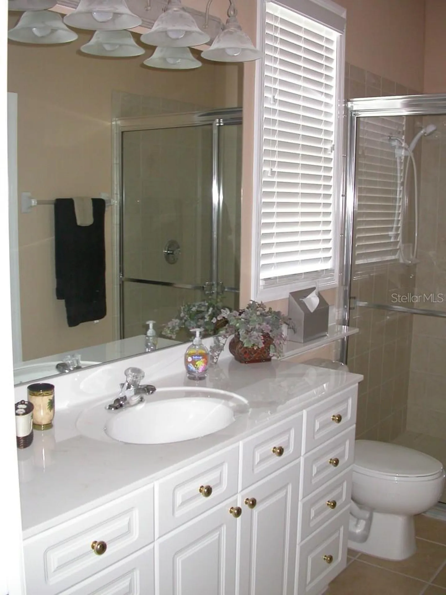 10313 Hebblewhite Court Englewood FL 34223