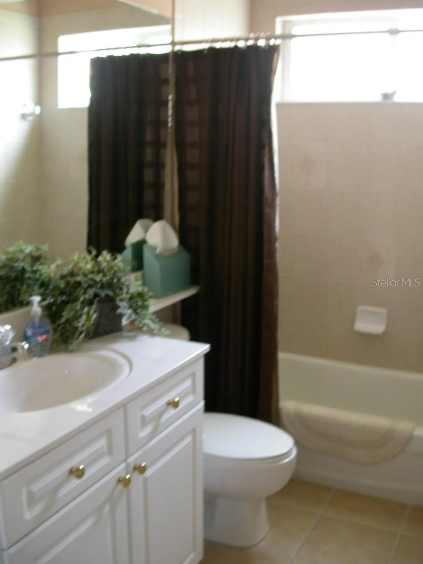 10313 Hebblewhite Court Englewood FL 34223