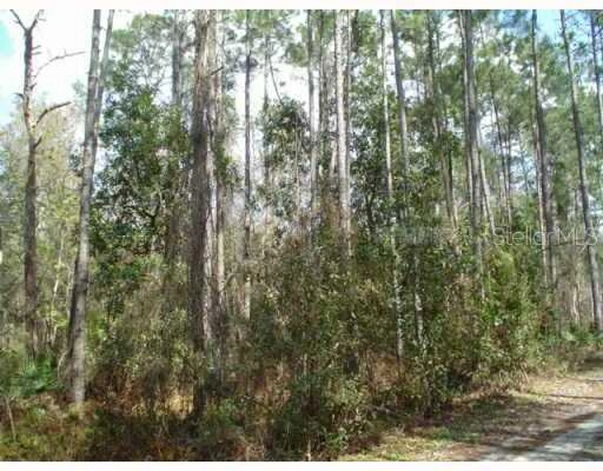 Zephyrhills FL 33544