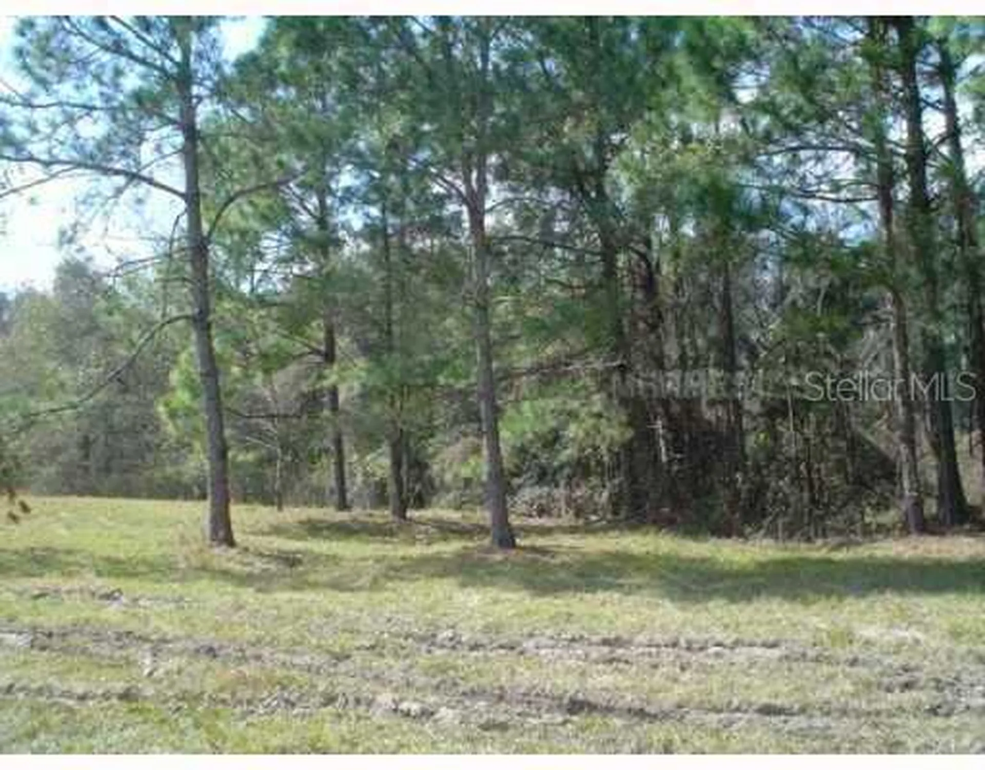 Zephyrhills FL 33544