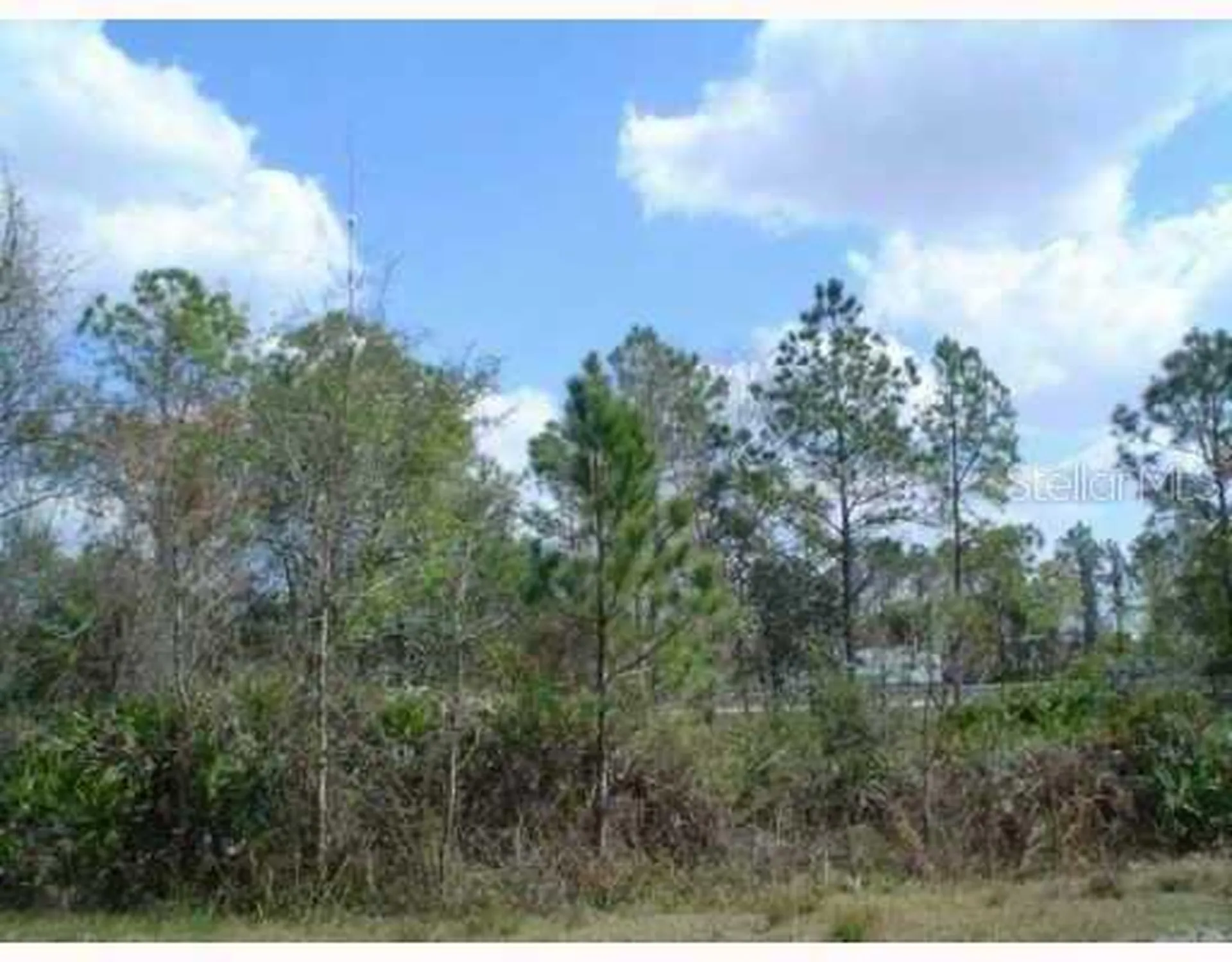 Zephyrhills FL 33544