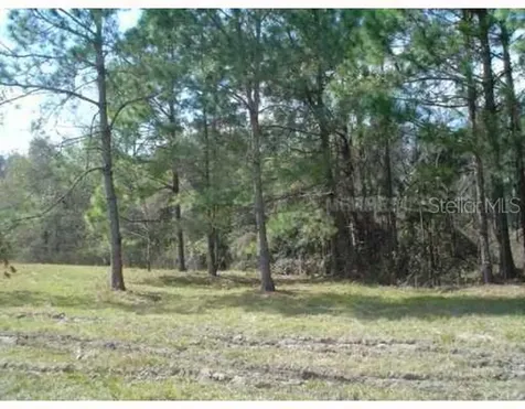 Zephyrhills FL 33544