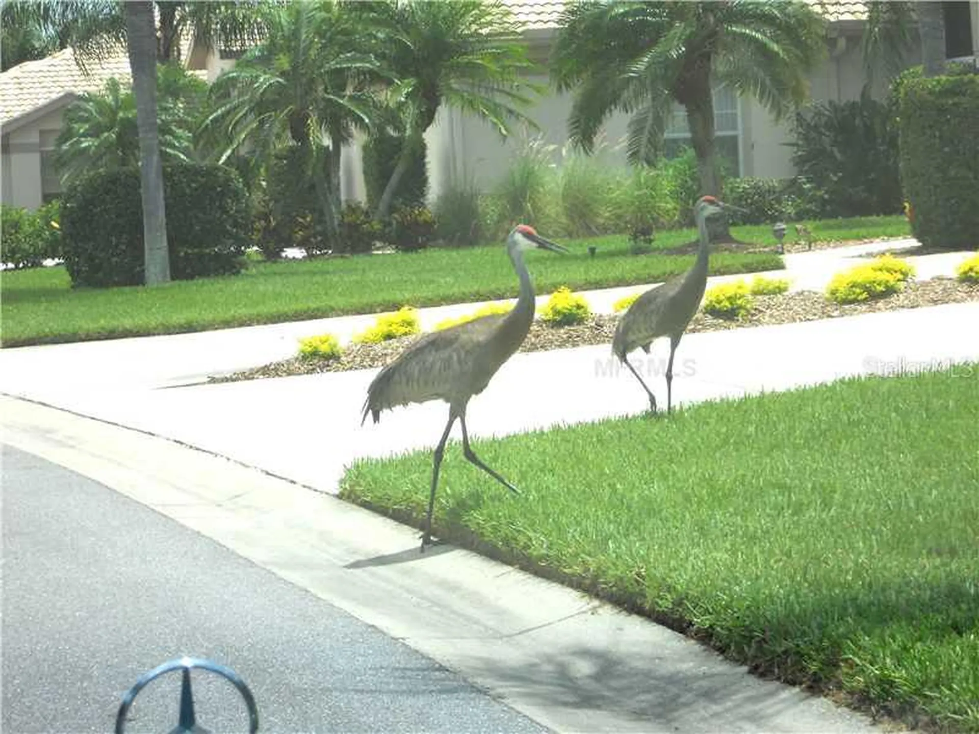 8911 Veranda Way Sarasota FL 34238