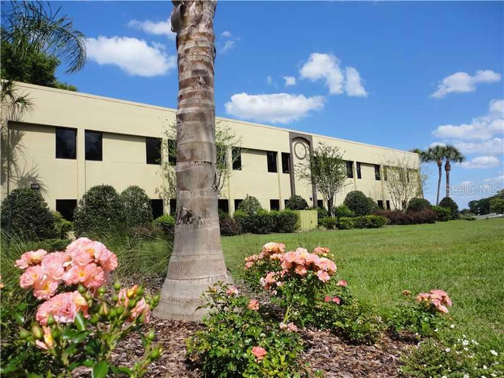 36739 County Road 52 Dade City FL 33525
