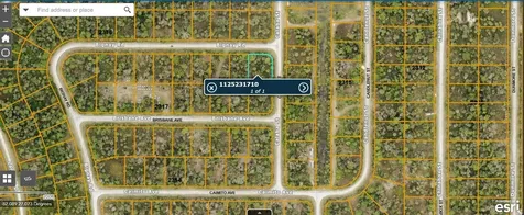 LOT#9 Calaba Street North Port FL 34288