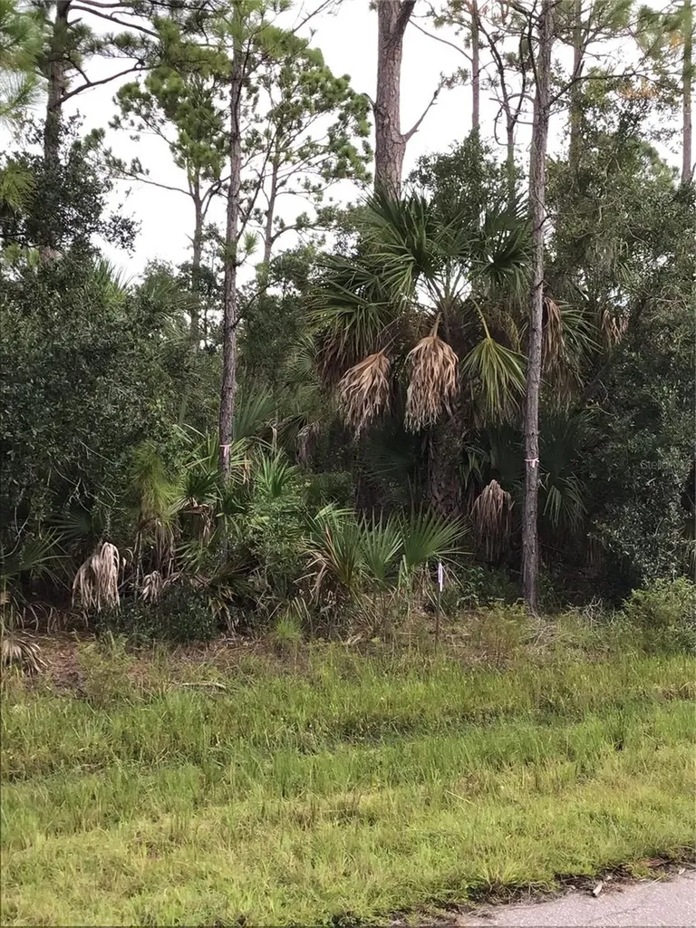 14202,M 14210,14218,14226 Hydrangea Avenue Port Charlotte FL 33953